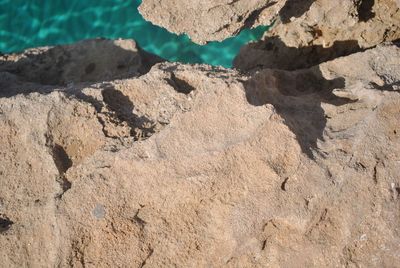 High angle view of rock on land