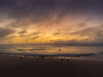Scenic view of beach against sky during sunset