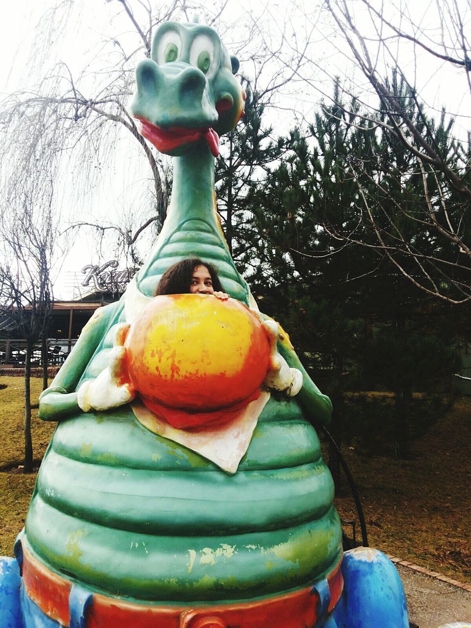 tree, green color, no people, outdoors, day, food, close-up, nature, pumpkin, sky