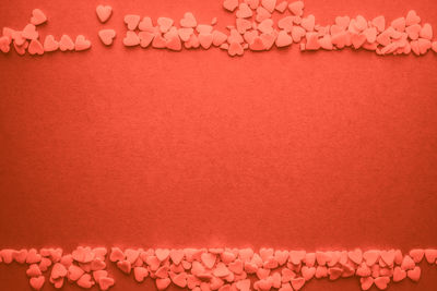 High angle view of pink petals on floor