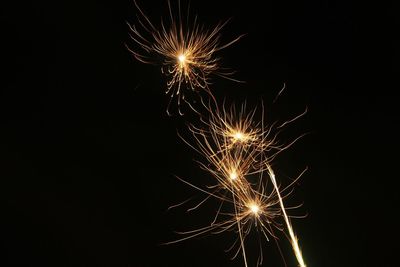 Low angle view of firework display against sky at night