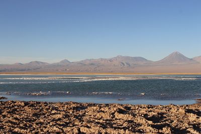 Scenic view of sea against clear blue sky