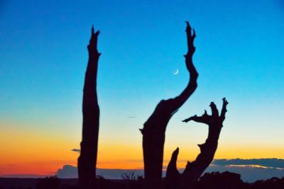 Silhouette tree against clear sky during sunset