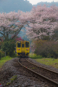 Train on railroad track