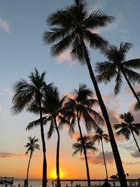 Silhouette palm trees against sky during sunset