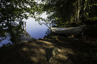 Scenic view of lake by trees in forest