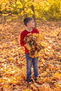 Boy stands in an autumn park among yellow foliage and holds in his hands fallen leaves