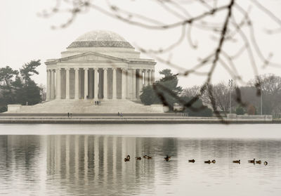 Birds swimming in tidal basin by thomas jefferson memorial against sky