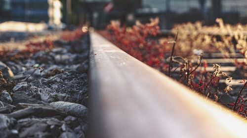 Surface level of railroad tracks in city