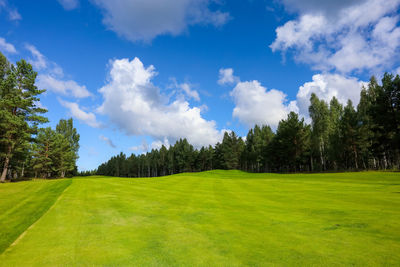 Scenic view of trees on field against sky