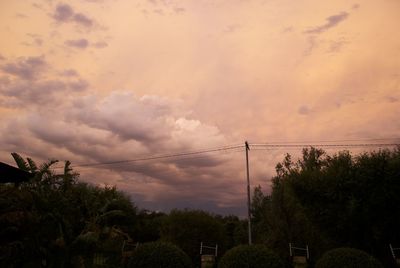 Low angle view of trees against sky during sunset