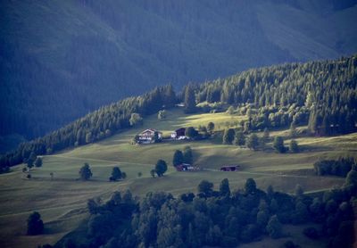 High angle view of trees on field against mountains