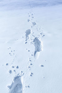 High angle view of footprints on snow covered landscape