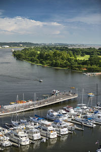 High angle view of sailboats moored at harbor