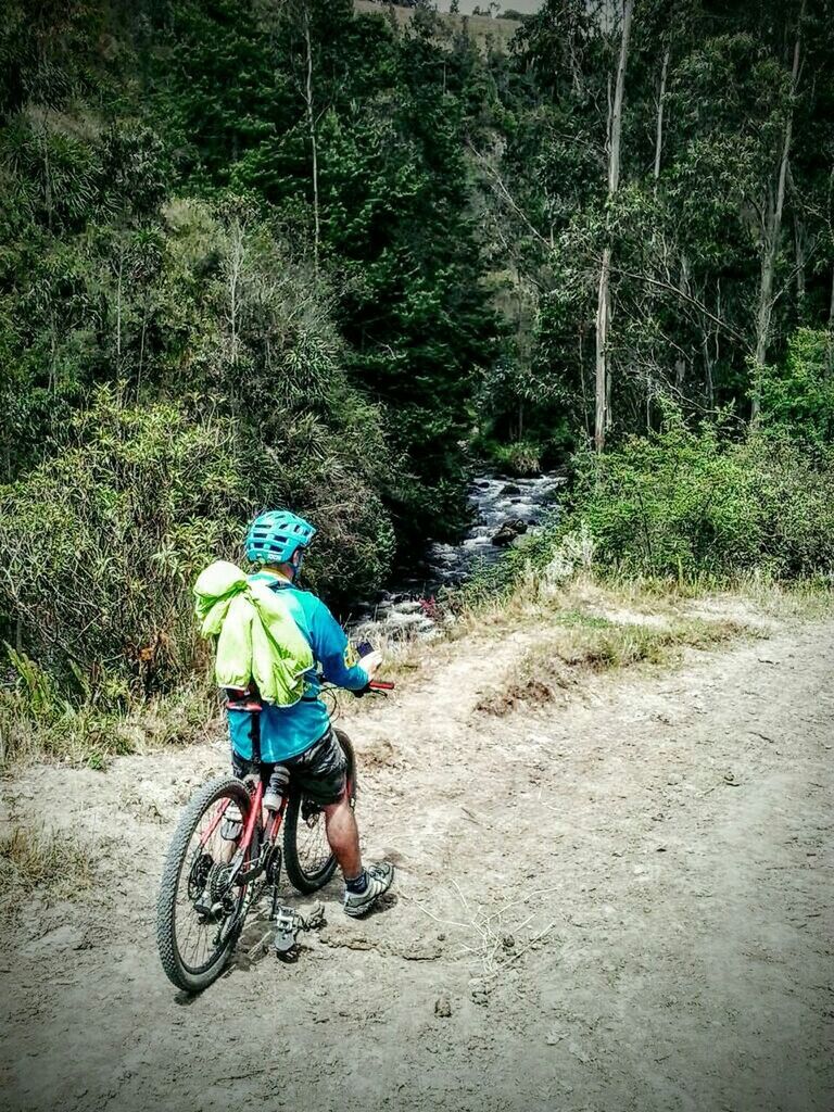 full length, lifestyles, leisure activity, bicycle, casual clothing, rear view, men, tree, childhood, transportation, boys, riding, walking, dirt road, land vehicle, mode of transport, backpack, on the move