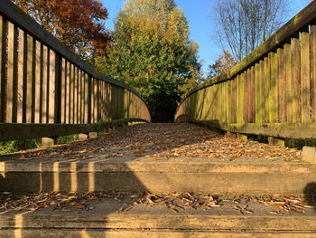 Footpath amidst trees in park during autumn