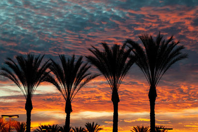 Silhouette palm trees against orange sky