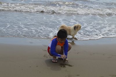 High angle view of boy playing with sand against dog walking at shore