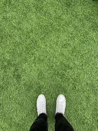 Low section of man standing on ground