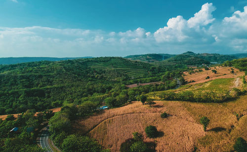 Scenic view of agricultural field against sky