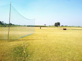 Scenic view of field against clear sky