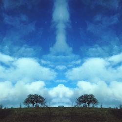 Trees on field against sky