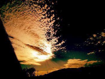 Silhouette of trees at sunset