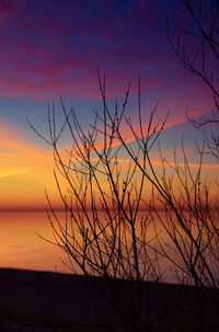 Golden horizon. baltic sea beach basking in sunset's glow. northern europe scenery.