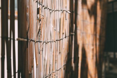 Close-up of barbed wire