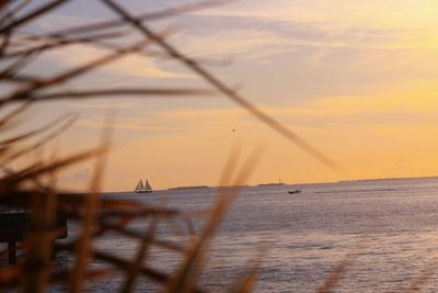 Scenic view of sea at sunset