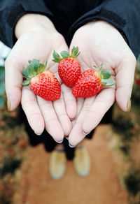 Close-up of hand holding strawberries