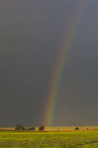 Scenic view of rainbow over field