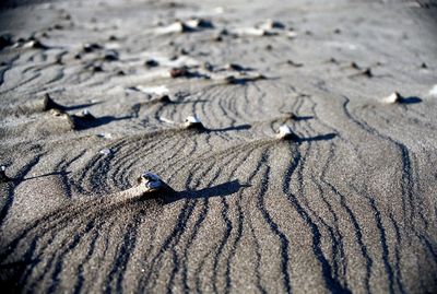 Close-up of sand