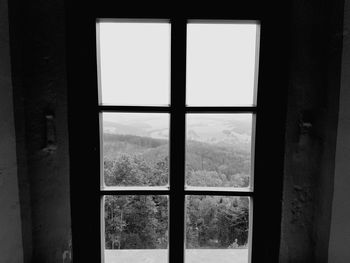 Trees seen through window