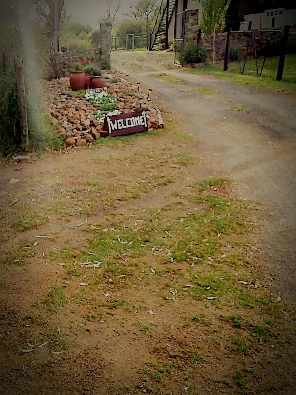 text, communication, western script, the way forward, street, guidance, road, information sign, transportation, road sign, sign, tree, outdoors, empty, built structure, arrow symbol, asphalt, direction, no people, day