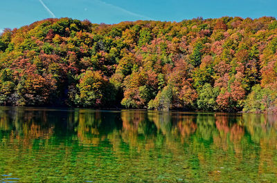 Scenic view of lake by trees during autumn