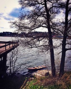 Bare trees at lakeshore