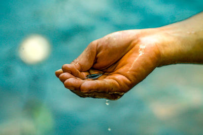 Close-up of person hand on wet leaf