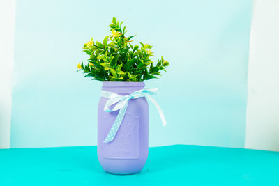 Close-up of plant in a jar on table against blue background