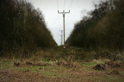 Scenic view of trees against sky