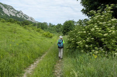 Rear view of woman walking on field