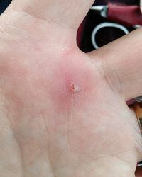 Close-up of human hand