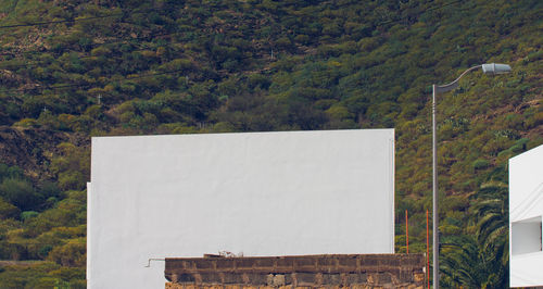 White wall by trees in forest