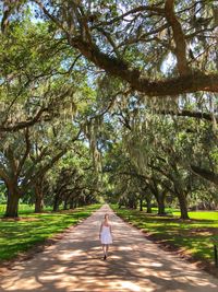 Rear view of woman walking on footpath amidst trees