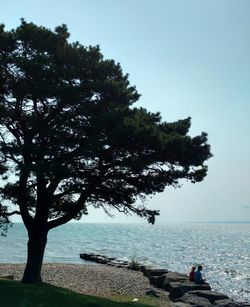 Scenic view of sea and tree against clear sky