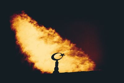 Low angle view of silhouette plant against sky at night