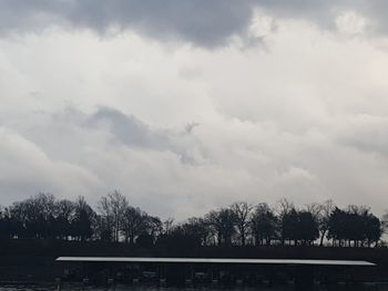 Trees on landscape against sky