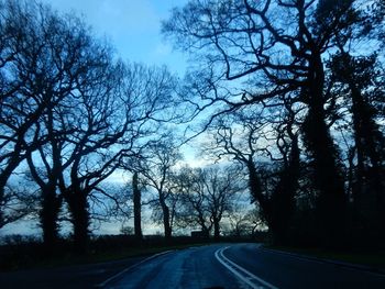 Empty road along trees