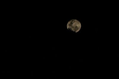 Low angle view of half moon against sky at night