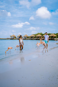 Full length of couple standing on beach with flamingos